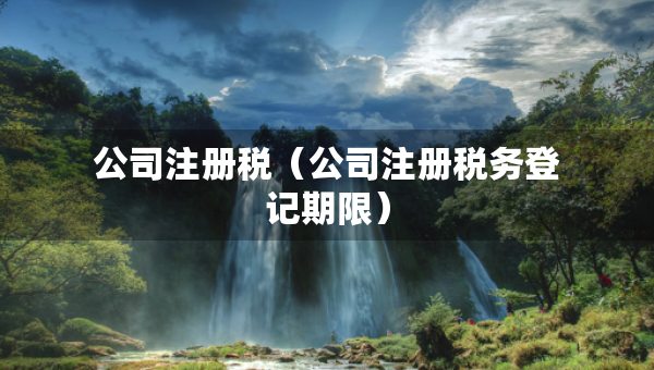 公司注册税（公司注册税务登记期限）