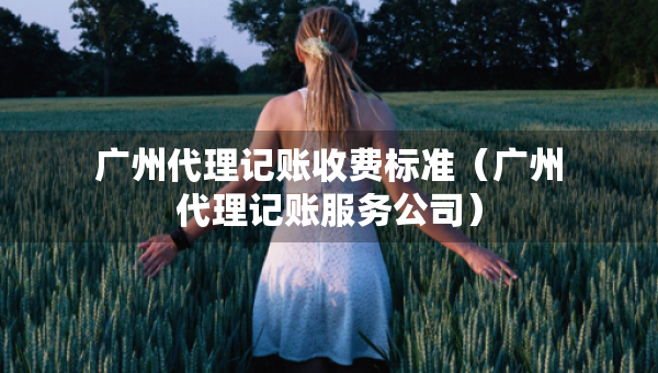 广州代理记账收费标准（广州代理记账服务公司）