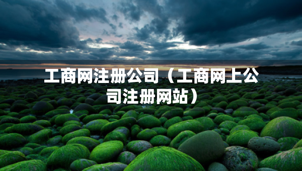 工商网注册公司（工商网上公司注册网站）