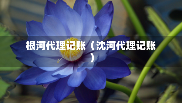 根河代理记账（沈河代理记账）