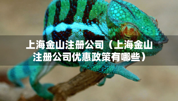 上海金山注册公司（上海金山注册公司优惠政策有哪些）
