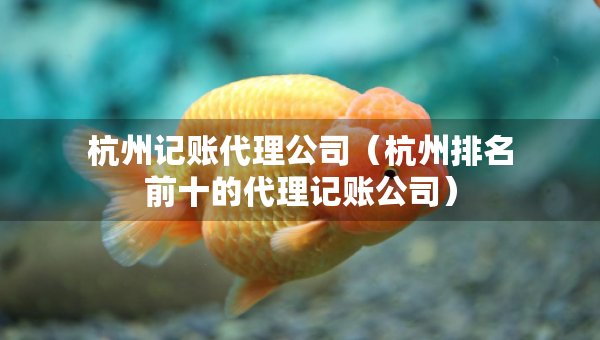 杭州记账代理公司（杭州排名前十的代理记账公司）
