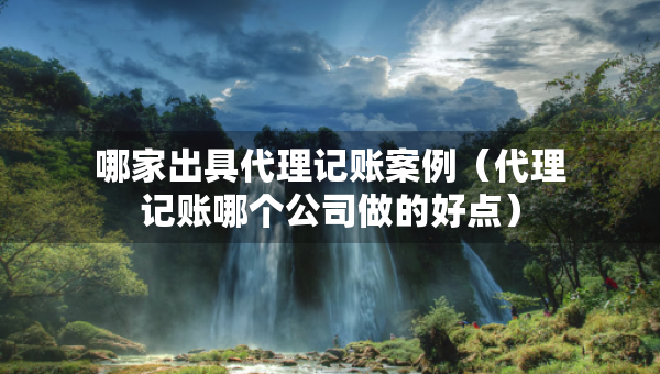 哪家出具代理记账案例（代理记账哪个公司做的好点）