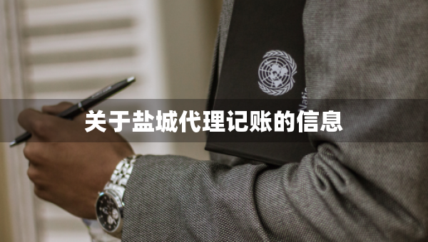 关于盐城代理记账的信息