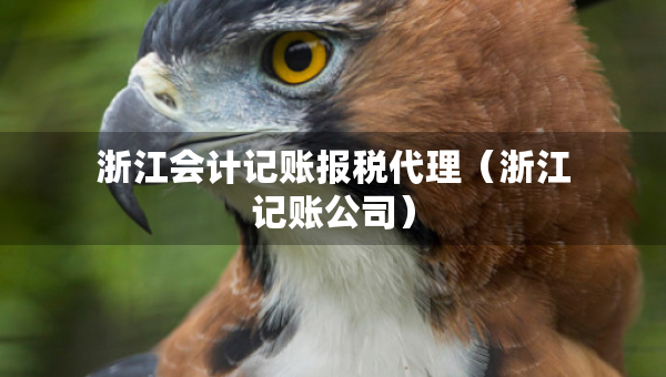浙江会计记账报税代理（浙江记账公司）