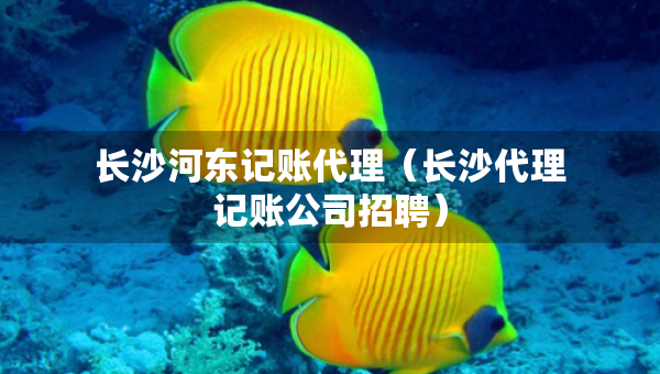 长沙河东记账代理（长沙代理记账公司招聘）