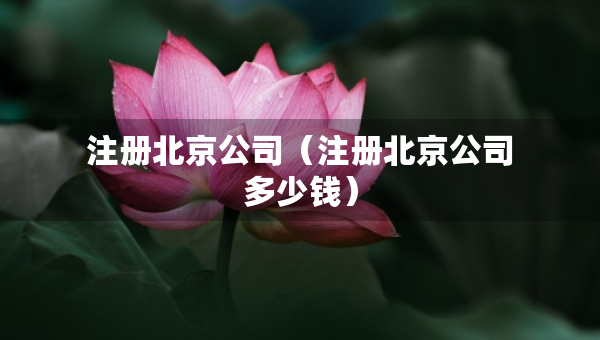 注册北京公司（注册北京公司多少钱）