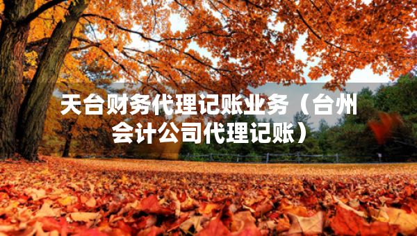 天台财务代理记账业务（台州会计公司代理记账）