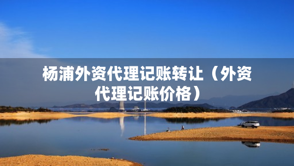 杨浦外资代理记账转让（外资代理记账价格）