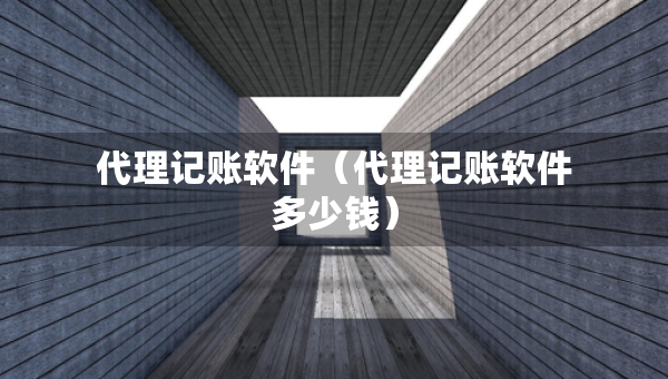 代理记账软件（代理记账软件多少钱）