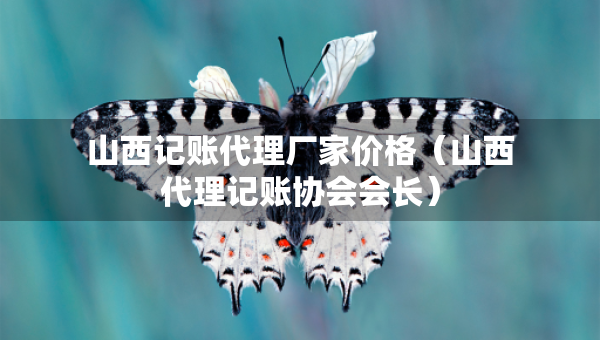 山西记账代理厂家价格（山西代理记账协会会长）