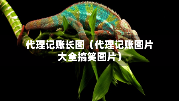 代理记账长图（代理记账图片大全搞笑图片）