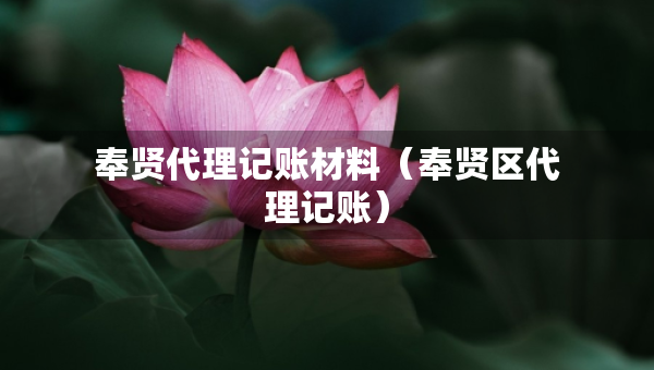 奉贤代理记账材料（奉贤区代理记账）