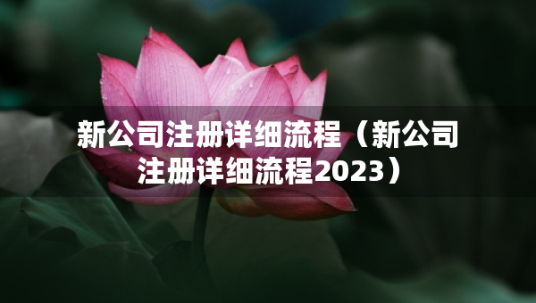 新公司注册详细流程（新公司注册详细流程2023）