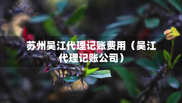 苏州吴江代理记账费用（吴江代理记账公司）