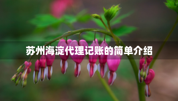 苏州海淀代理记账的简单介绍