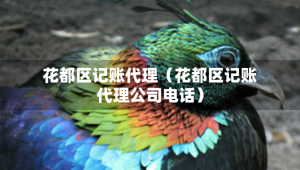 花都区记账代理（花都区记账代理公司电话）