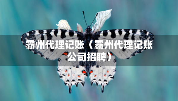 霸州代理记账（霸州代理记账公司招聘）