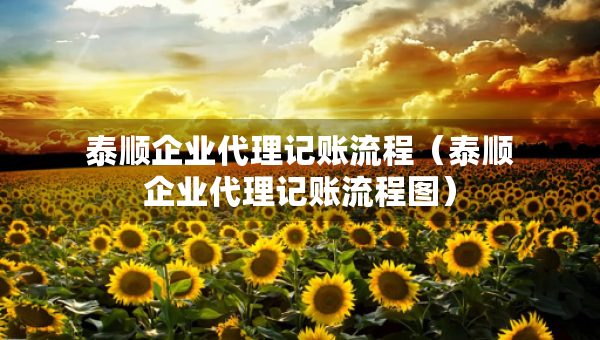 泰顺企业代理记账流程（泰顺企业代理记账流程图）