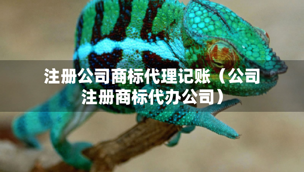 注册公司商标代理记账（公司注册商标代办公司）