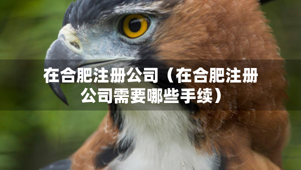 在合肥注册公司（在合肥注册公司需要哪些手续）