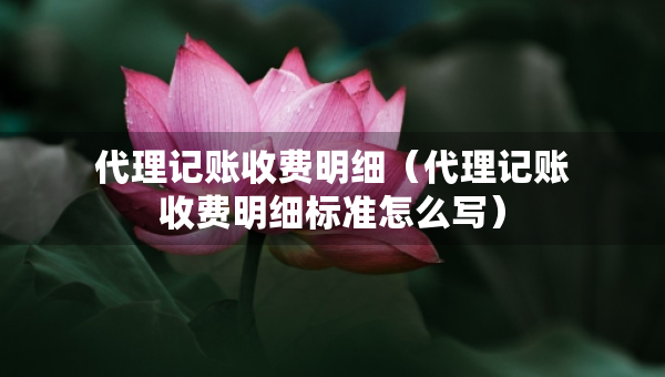 代理记账收费明细（代理记账收费明细标准怎么写）