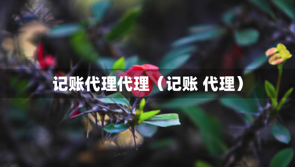 记账代理代理（记账 代理）