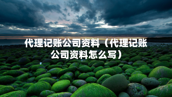 代理记账公司资料（代理记账公司资料怎么写）