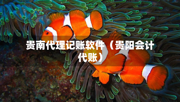 贵南代理记账软件(贵阳会计代账) 贵南代理记账软件(贵阳会计代账)