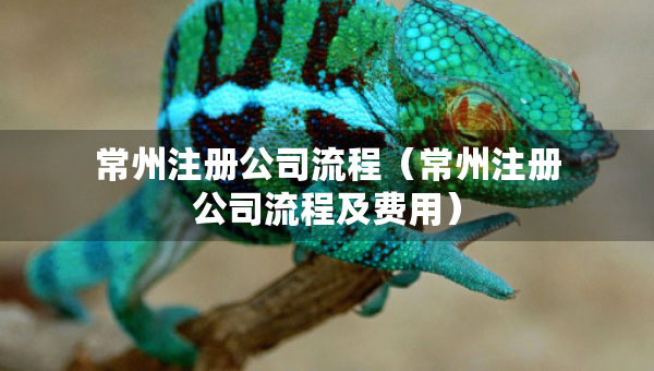 常州注册公司流程（常州注册公司流程及费用）