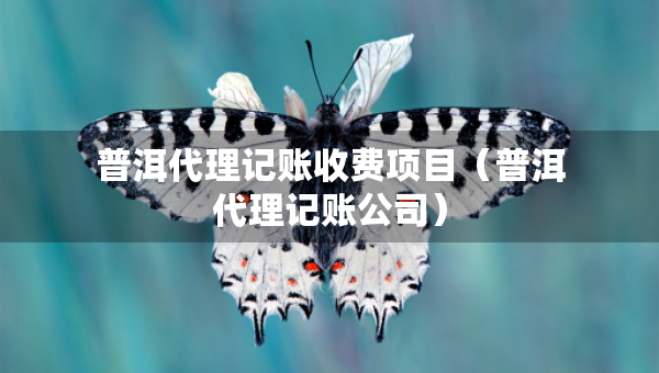 普洱代理记账收费项目（普洱代理记账公司）