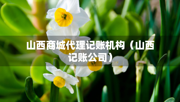 山西商城代理记账机构（山西记账公司）