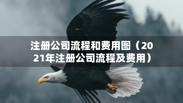 注册公司流程和费用图（2021年注册公司流程及费用）