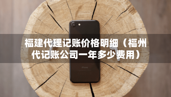 福建代理记账价格明细（福州代记账公司一年多少费用）
