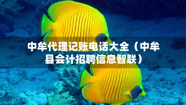 中牟代理记账电话大全（中牟县会计招聘信息智联）
