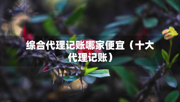 综合代理记账哪家便宜（十大代理记账）