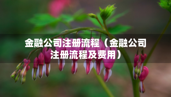 金融公司注册流程（金融公司注册流程及费用）