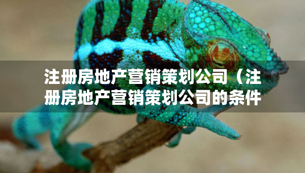 注册房地产营销策划公司（注册房地产营销策划公司的条件）