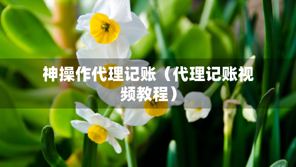 神操作代理记账（代理记账视频教程）