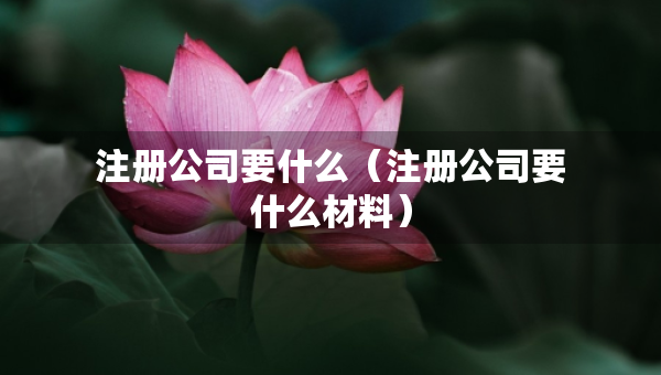 注册公司要什么（注册公司要什么材料）