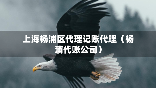 上海杨浦区代理记账代理（杨浦代账公司）