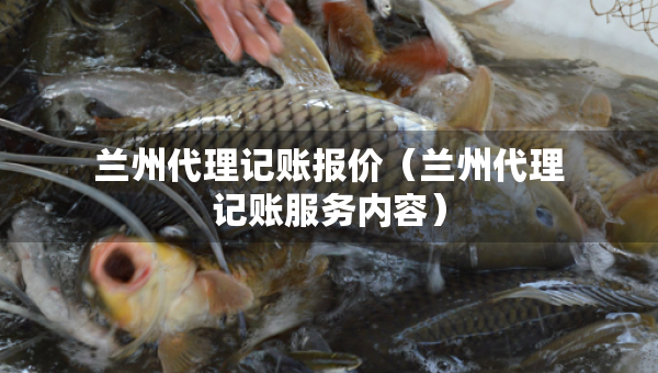 兰州代理记账报价（兰州代理记账服务内容）