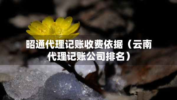昭通代理记账收费依据（云南代理记账公司排名）