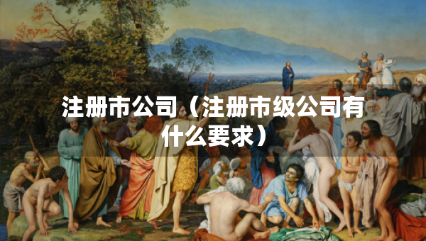 注册市公司（注册市级公司有什么要求）