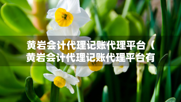 黄岩会计代理记账代理平台（黄岩会计代理记账代理平台有哪些）