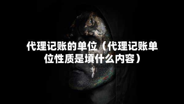 代理记账的单位（代理记账单位性质是填什么内容）