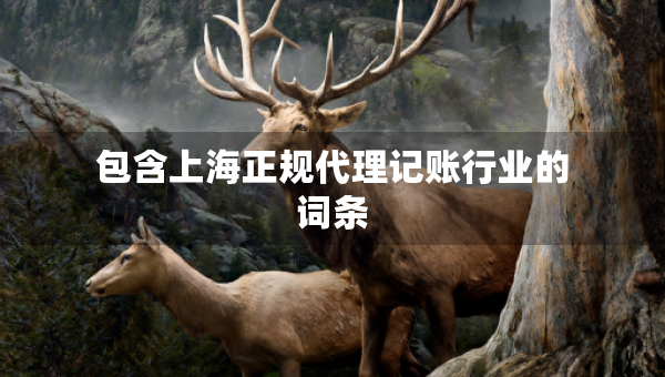 包含上海正规代理记账行业的词条