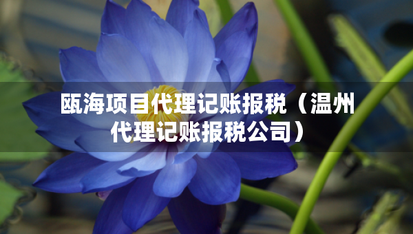 瓯海项目代理记账报税（温州代理记账报税公司）