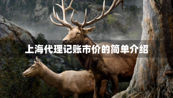 上海代理记账市价的简单介绍