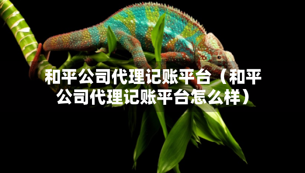 和平公司代理记账平台（和平公司代理记账平台怎么样）